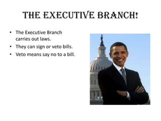 The executive branch!The Executive Branch carries out laws.They can sign or veto bills.Veto means say no to a bill.
