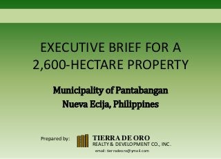 EXECUTIVE BRIEF FOR A
2,600-HECTARE PROPERTY
Municipality of Pantabangan
Nueva Ecija, Philippines
TIERRA DE ORO
REALTY & DEVELOPMENT CO., INC.
email: tierradeoro@ymail.com
Prepared by:
 
