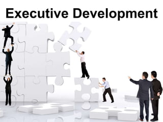 Executive Development
 