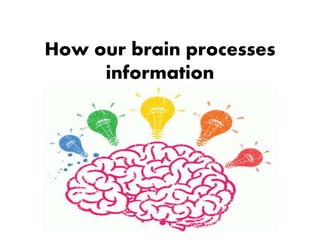How our brain processes
information
 