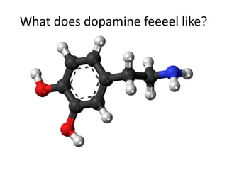 What does dopamine feeeel like? 
 