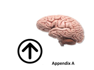 Appendix A 
 