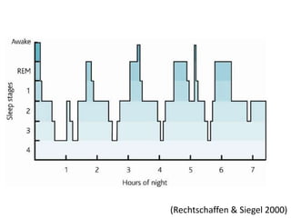 (Rechtschaffen & Siegel 2000) 
 