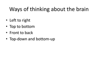 Ways of thinking about the brain 
• Left to right 
• Top to bottom 
• Front to back 
• Top-down and bottom-up 
 
