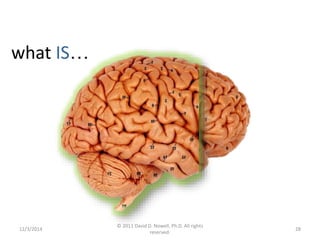 what IS… 
12/3/2014 
© 2011 David D. Nowell, Ph.D. All rights 
reserved. 
28 
 