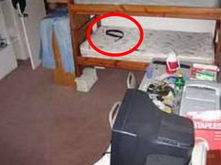 12/3/2014 
© 2011 David D. Nowell, Ph.D. All rights 
reserved. 
286 
 