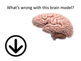What’s wrong with this brain model? 
 
