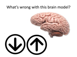 What’s wrong with this brain model? 
 