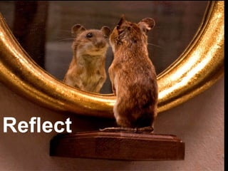 Reflect 