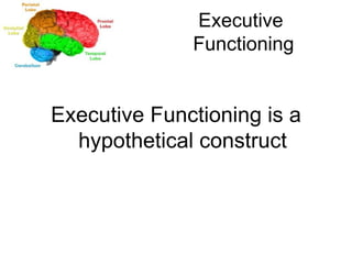 Executive  Functioning Executive Functioning is a hypothetical construct 
