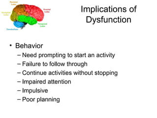 Implications of Dysfunction Behavior Need prompting to start an activity Failure to follow through Continue activities without stopping Impaired attention Impulsive Poor planning 