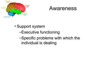 Awareness Support system Executive functioning Specific problems with which the individual is dealing 