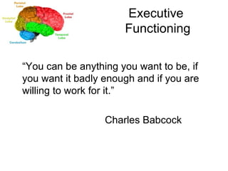 Executive  Functioning “ You can be anything you want to be, if you want it badly enough and if you are willing to work for it.” Charles Babcock 