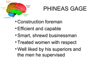PHINEAS GAGE Construction foreman Efficient and capable Smart, shrewd businessman Treated women with respect Well liked by his superiors and the men he supervised 