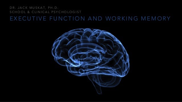 Overview of Executive Function and Working Memory for Kids