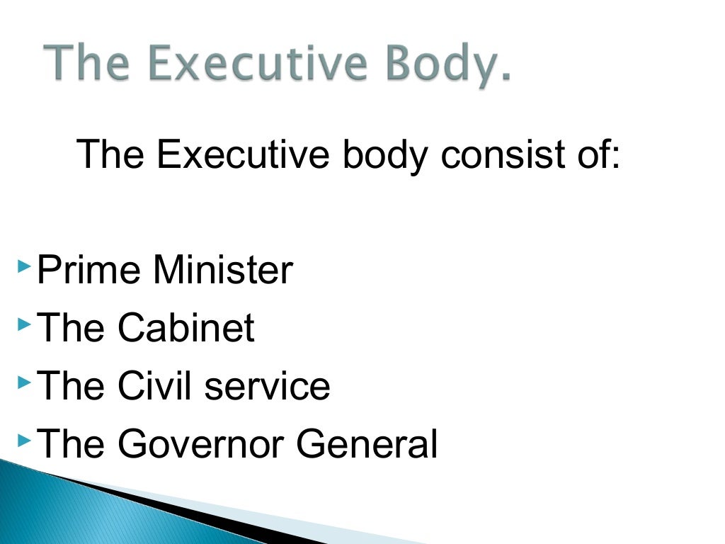 Executive in the arm of government
