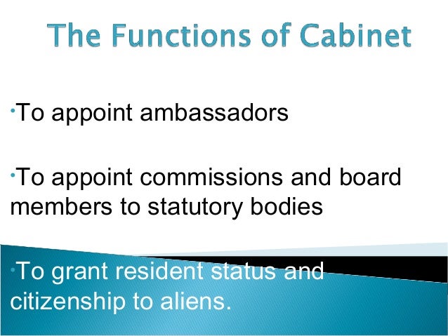 what makes up the executive arm of government