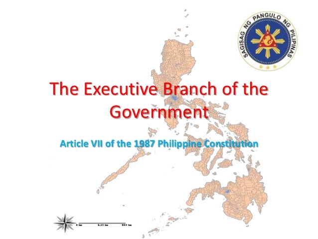 What is the main purpose of the executive branch?