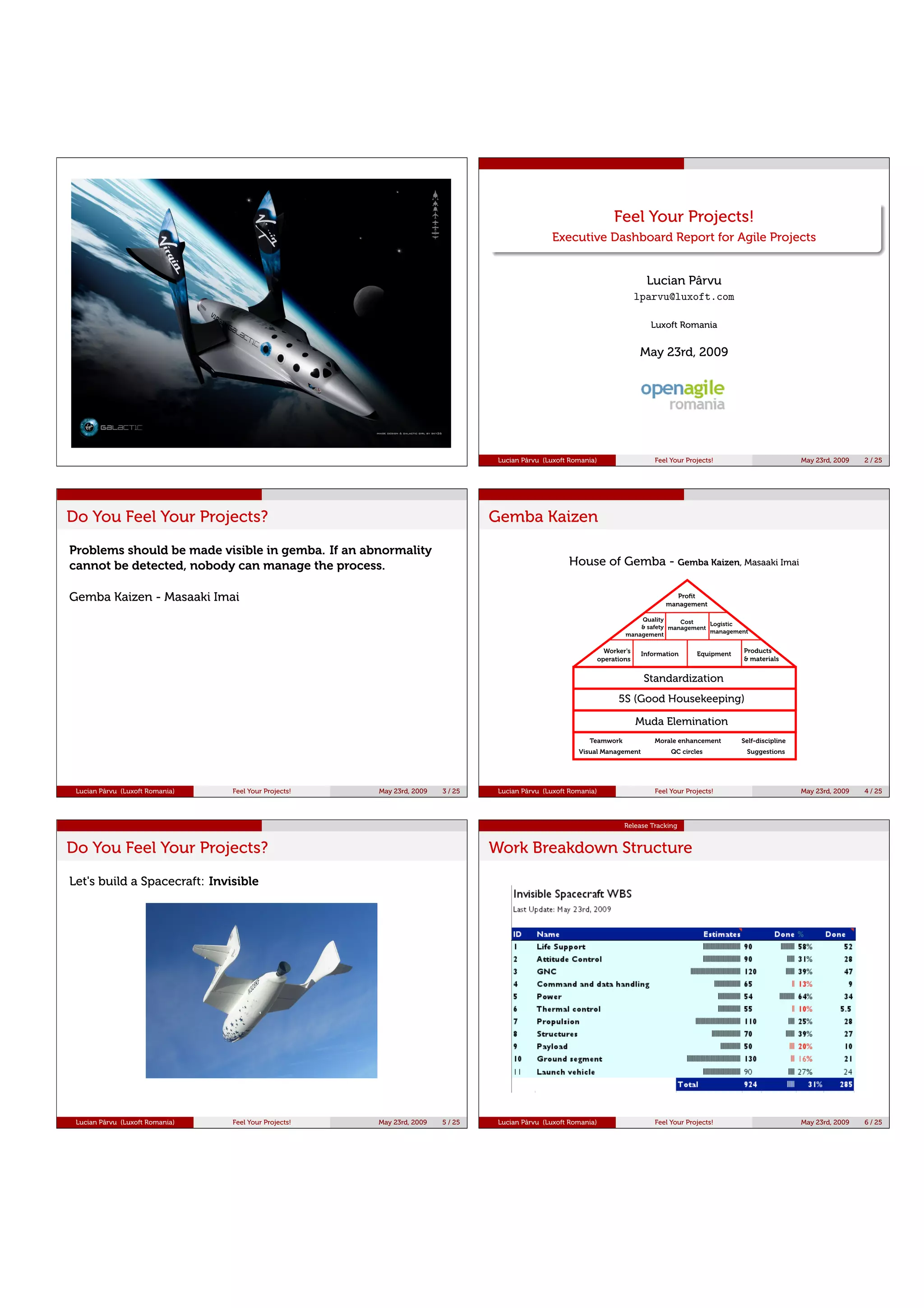 Executive Report Executive Dashboard Report Handout
