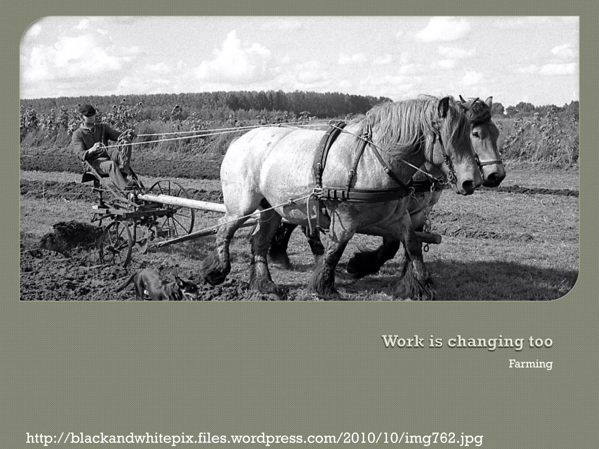 Farming




http://blackandwhitepix.files.wordpress.com/2010/10/img762.jpg
 