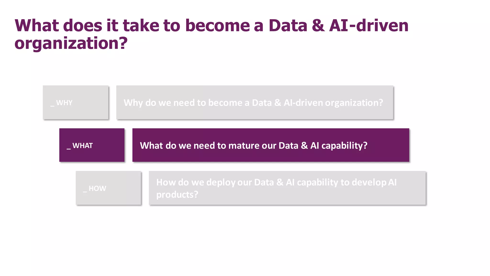 What does it take to become a Data & AI-driven
organization?
_ WHY Why do we need to become a Data & AI-driven organization?
_ WHAT What do we need to mature our Data & AI capability?
_ HOW
How do we deploy our Data & AI capability to developAI
products?
 