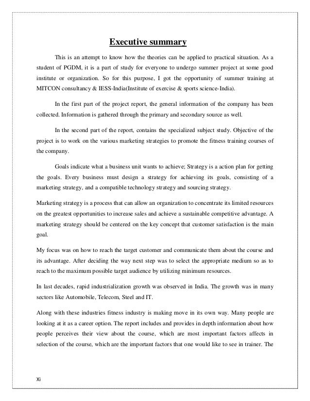 Sample Executive Summary For A Project Report - Executive Summary 