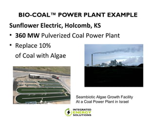 BIO-COAL™ POWER PLANT EXAMPLE
Sunflower Electric, Holcomb, KS
• 360 MW Pulverized Coal Power Plant
• Replace 10%
of Coal with Algae
Seambiotic Algae Growth Facility
At a Coal Power Plant in Israel
 
