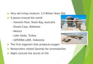  Very old living creature: 3.5 Billion Years Old
 5 places around the world
- Hamelin Pool: Shark Bay, Australia
- Exuma Cays, Bahamas
- Mexico
- Lake Salda, Turkey
- SATONDA LAKE, Indonesia
 The first organism that produces oxygen
 Researchers visited Satonda for stromatolites
 Might conceal the secret of life
 