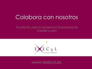 Colabora con nosotros
www.execyl.es
Fundación para la Excelencia Empresarial de
Castilla y León
 