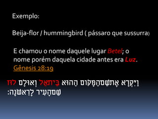 Exemplo:
Beija-flor / hummingbird ( pássaro que sussurra)
E chamou o nome daquele lugar Betel; o
nome porém daquela cidade antes era Luz.
Gênesis 28:19
‫הּוא‬ ַ‫ה‬ ‫ֹום‬‫ק‬ ָ‫מ‬ ַ‫־ה‬‫ם‬ ֵׁ‫־ש‬‫ת‬ ֶ‫א‬ ‫א‬ ָ‫ר‬ ְ‫ק‬ִּ‫י‬ַ‫ו‬‫ל‬ ֵׁ‫־א‬‫ת‬‫י‬ ֵׁ‫ב‬ְ‫ו‬‫ם‬ָ‫אּול‬‫לּוז‬
‫ָה׃‬‫נ‬ֹ‫ש‬‫א‬ ִּ‫ר‬ָ‫ל‬ ‫יר‬ ִּ‫ע‬ ָ‫־ה‬‫ם‬ ֵׁ‫ש‬
 