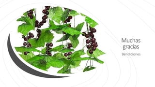 Muchas
gracias
Bendiciones
 