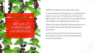 CAP15:9-17
SUAMORPOR
SUSDISCÍPULOS
v. 17 Esto os mando: Que os améis unos a otros.
El que permanece en Cristo guarda sus mandamientos,
porque le ama; Como El Padre amó a Cristo que fue
digno hasta lo sumo, así amó Cristo a sus discípulos, que
eran indignos, y los eligió para que lleven fruto.
Todos los que aman al Salvador deben perseverar en su
amor por Él, y aprovechar todas las ocasiones para
demostrarlo.
Si permanecemos en Él, El amor de Cristo que fue
derramado en nuestros corazones debe llevarnos a
amarnos mutuamente.
 