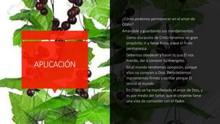 APLICACIÓN
¿Cómo podemos permanecer en el amor de
Cristo?
Amándole y guardando sus mandamientos.
- Como discípulos de Cristo tenemos un gran
propósito, ir y llevar fruto, y que el fruto
permanezca.
- Debemos obedecer y hacer lo que Él nos
manda, dar a conocer Su evangelio.
- En el mundo tendremos oposición, porque
ellos no conocen a Dios. Pero debemos
mantenernos firmes y confiar porque Él
venció al mundo.
- En Cristo se ha manifestado el amor de Dios, y
es por medio del Señor, que el creyente tiene
una vida de comunión con el Padre.
 