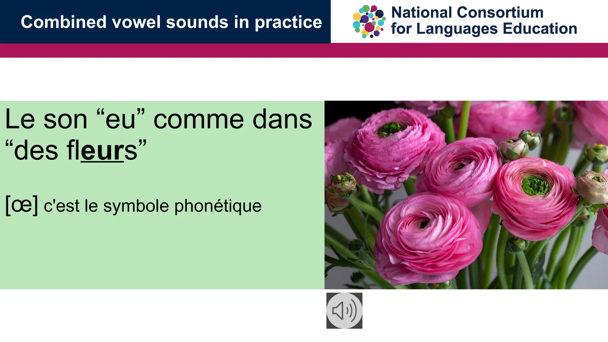 Le son &ldquo;eu&rdquo; comme dans
&ldquo;des fleurs&rdquo;
[&oelig;] c'est le symbole phon&eacute;tique
Combined vowel sounds in practice
 