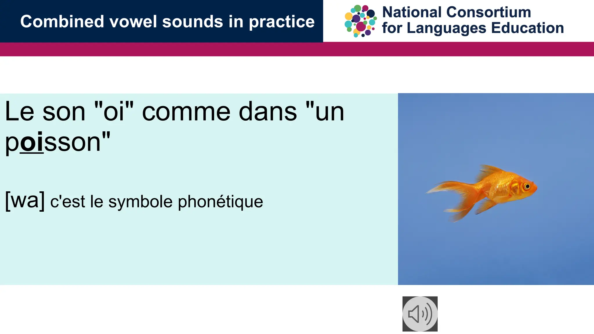 Le son "oi" comme dans "un
poisson"
[wa] c'est le symbole phon&eacute;tique
Combined vowel sounds in practice
 