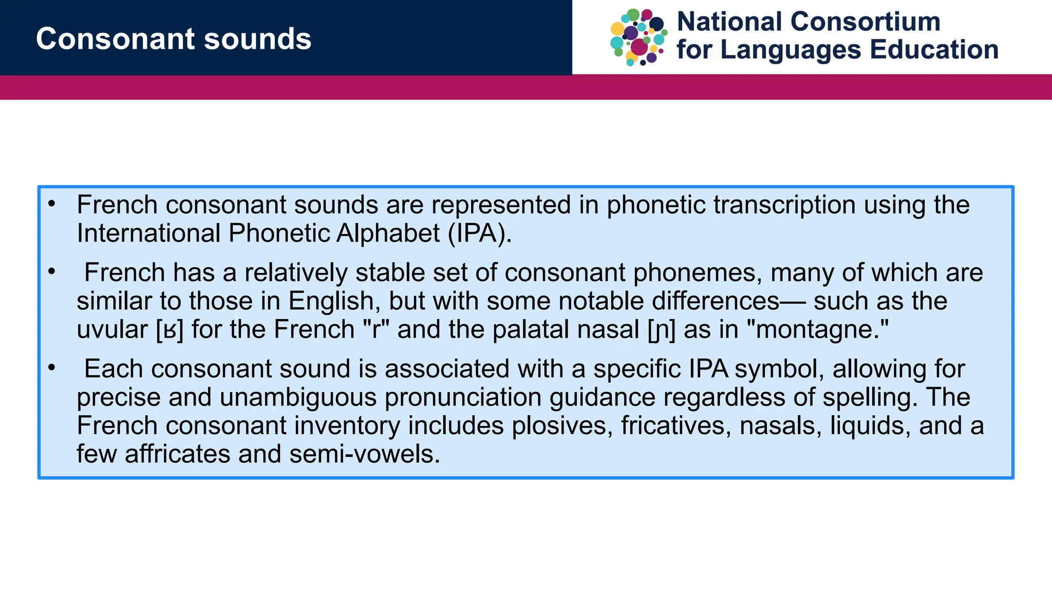 &bull; French consonant sounds are represented in phonetic transcription using the
International Phonetic Alphabet (IPA).
&bull; French has a relatively stable set of consonant phonemes, many of which are
similar to those in English, but with some notable differences&mdash; such as the
uvular [ ] for the French "r" and the palatal nasal [ ] as in "montagne."
ʁ ɲ
&bull; Each consonant sound is associated with a specific IPA symbol, allowing for
precise and unambiguous pronunciation guidance regardless of spelling. The
French consonant inventory includes plosives, fricatives, nasals, liquids, and a
few affricates and semi-vowels.
Consonant sounds
 