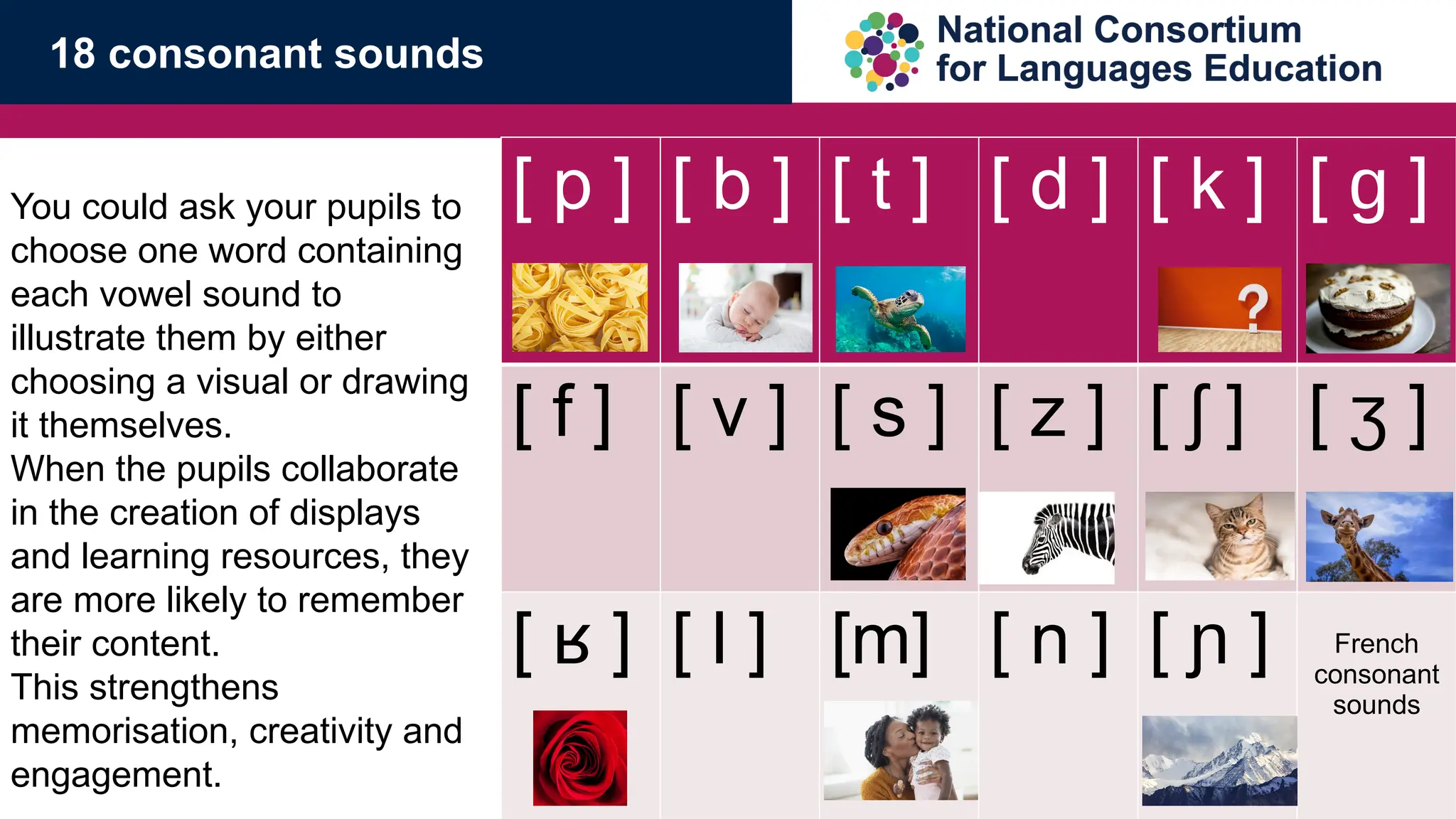 [ p ] [ b ] [ t ] [ d ] [ k ] [ ]
ɡ
[ f ] [ v ] [ s ] [ z ] [ ]
ʃ [ ]
ʒ
[ ]
ʁ [ l ] [m] [ n ] [ ]
ɲ French
consonant
sounds
You could ask your pupils to
choose one word containing
each vowel sound to
illustrate them by either
choosing a visual or drawing
it themselves.
When the pupils collaborate
in the creation of displays
and learning resources, they
are more likely to remember
their content.
This strengthens
memorisation, creativity and
engagement.
18 consonant sounds
 