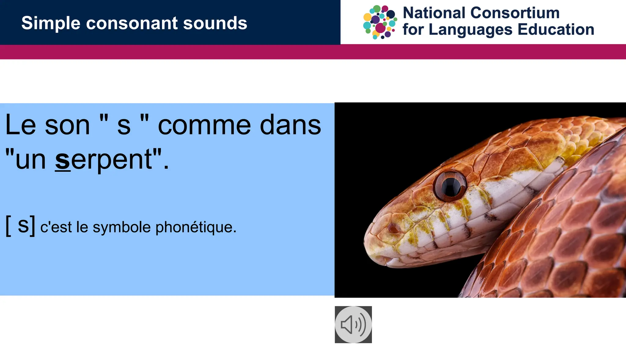 Le son " s " comme dans
"un serpent".
[ s] c'est le symbole phon&eacute;tique.
Simple consonant sounds
 