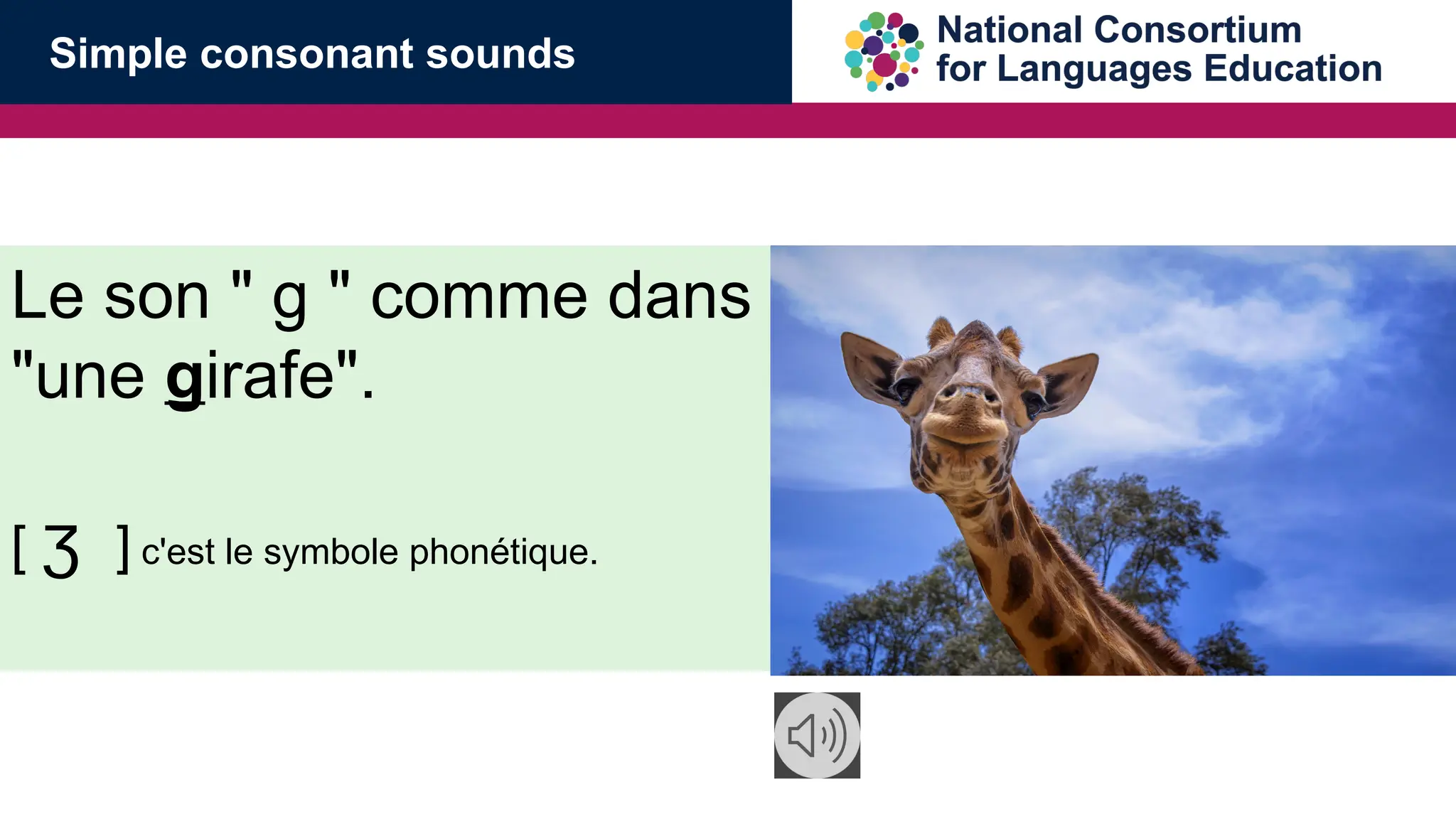 Le son " g " comme dans
"une girafe".
[ ʒ ] c'est le symbole phon&eacute;tique.
Simple consonant sounds
 