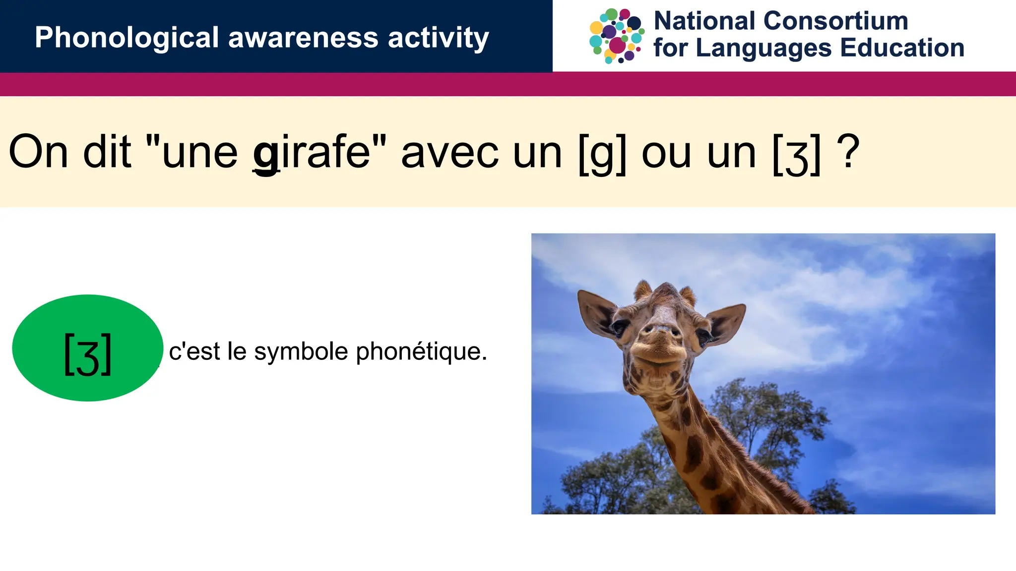On dit "une girafe" avec un [g] ou un [ ] ?
ʒ
[ ... ] c'est le symbole phon&eacute;tique.
[ ]
ʒ
Phonological awareness activity
 