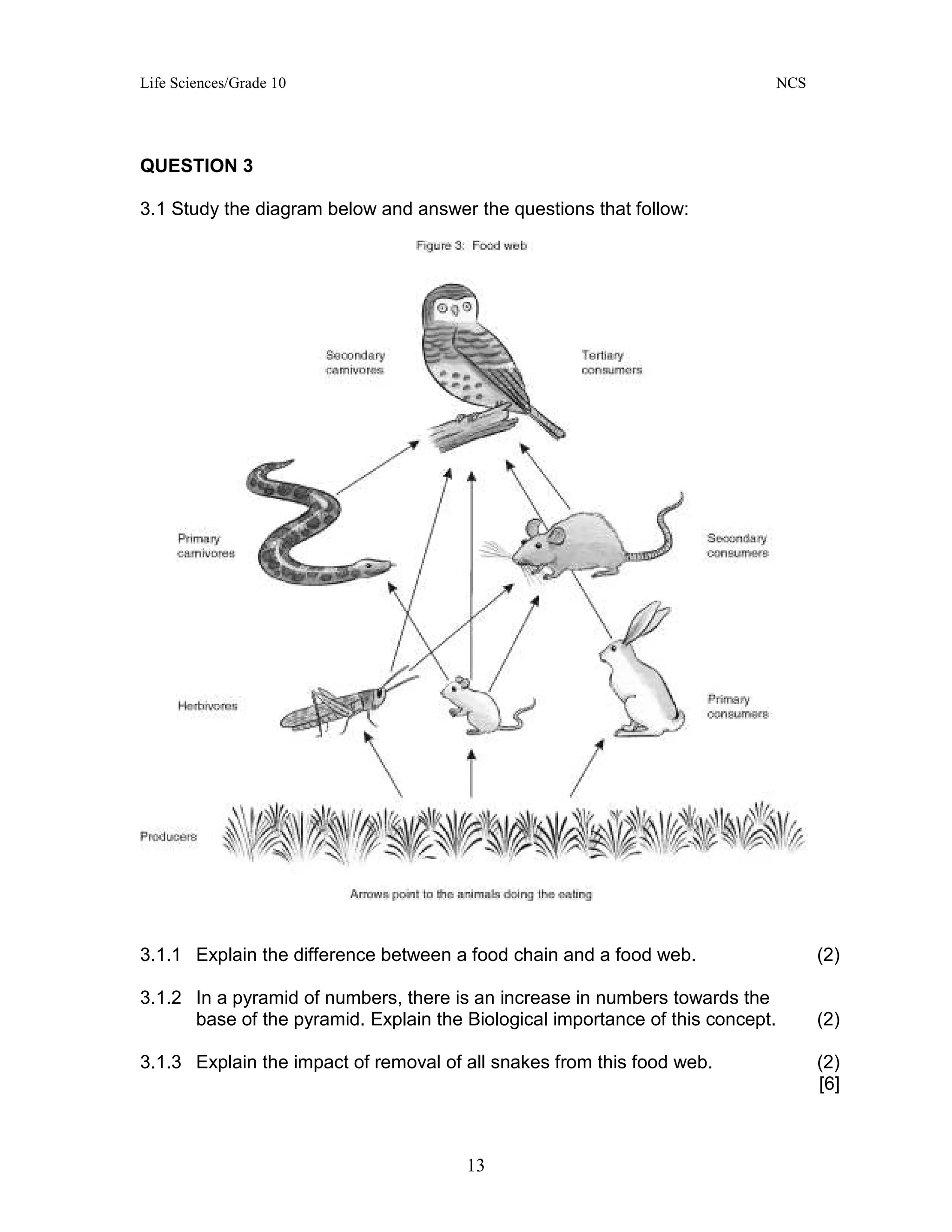 Life Sciences/Grade 10 NCS
13
QUESTION 3
3.1 Study the diagram below and answer the questions that follow:
3.1.1 Explain the difference between a food chain and a food web. (2)
3.1.2 In a pyramid of numbers, there is an increase in numbers towards the
base of the pyramid. Explain the Biological importance of this concept. (2)
3.1.3 Explain the impact of removal of all snakes from this food web. (2)
[6]
 