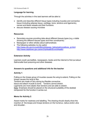 Life Sciences/Grade 10 NCS
28
Language for learning
Through the activities in this task learners will be able to:
• identify and describe different tissue types including muscles and connective
tissue (including adipose tissue, cartilage, bone ,tendons and ligaments),
nerves and blood vessels and their functions
• discuss disease causing microbes
Resources
• Secondary sources providing data about different tissues types (e.g. a table
showing the different tissues types and their constituents)
• Newspaper or other articles about salmoneliosis
• The following websites my be useful:
http://www.cdc.gov/nczved/dfbmd/disease_listing/salmonellosis_gi.html
http://www.capetown.gov.za/en/CityHealth/EnviroHealth/
Extension Activity
Learners could use leaflets, newspapers, books and the internet to find out about
Salmonella food poisoning and other diseases
Answers to questions and additional info for the teacher
Activity 1:
Pulling on the triceps group of muscles causes the wing to extend. Pulling on the
biceps causes the wing to flex.
Tendons are made of very strong but flexible connective
tissue and attach muscle to bone. Tendons cannot stretch.
Ligaments are more elastic than tendons and are able to stretch.
Note: Emphasis should be placed on the structural suitability of the skeletal
component for the function it carries out.
Memo for Activity 2:
Award marks for neatness and labelling. The drawing should clearly show the
insertion of the biceps and triceps tendons on the humerus, radius and/or ulna
and shoulder .
 