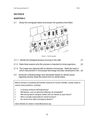 Life Sciences/Grade 10 NCS
38
SECTION B
QUESTION 2
2.1 Study the micrograph below and answer the questions that follow.
2.1.1 Identify the biological process occuring in the cells. (1)
2.1.2 State three reasons why this process is important to living organisms. (3)
2.1.3 The image was captured with an electron-microscope. State two ways in
which improvement in microscope technology has been beneficial to man. (2)
2.2 Advances in Biotechnology have stimulated debate on ethical issues
regarding cloning. Read the extract from an article below:
Before cloning is considered permissible medicine for human infertility, society needs to
resolve many questions, including:
• Is cloning unnatural self-engineering?
• Will failures, such as deformed offspring, be acceptable?
• Will cloning lead to designer babies who are denied an open future?
• Who is socially responsible for cloned humans?
• Do clones have rights and legal protection?
Glenn McGee An article in ActionBioscience.org
 