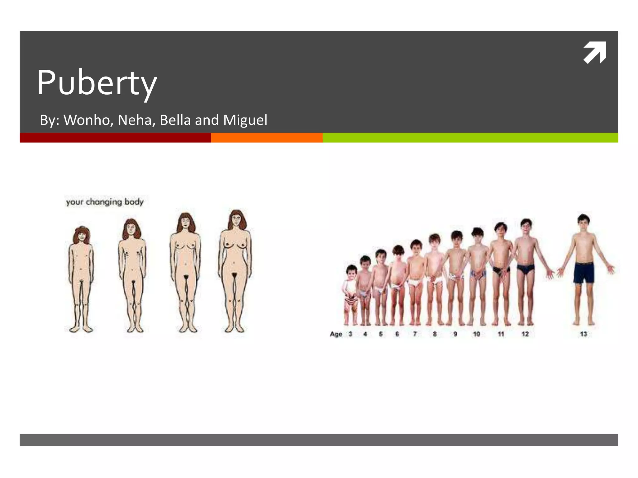 
Puberty
By: Wonho, Neha, Bella and Miguel