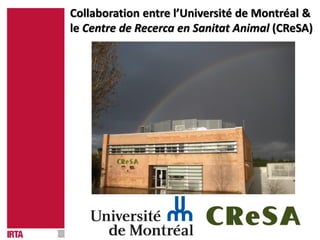 Collaboration entre l’Université de Montréal &
le Centre de Recerca en Sanitat Animal (CReSA)
 