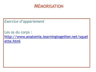 Exercice d’appariement
Les os du corps :
http://www.anatomia.learningtogether.net/squel
ette.html
MÉMORISATION
 