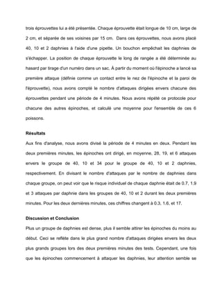 Exemple De Rapport Ecrit