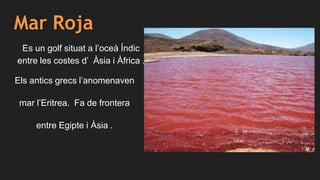 Mar Roja
Es un golf situat a l’oceà Índic
entre les costes d’ Àsia i Àfrica .
Els antics grecs l’anomenaven
mar l’Eritrea. Fa de frontera
entre Egipte i Àsia .
 