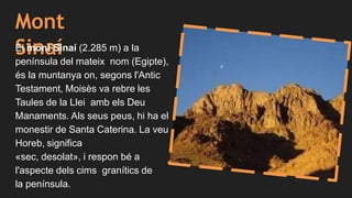 Mont
SinaíEl mont Sinaí (2.285 m) a la
península del mateix nom (Egipte),
és la muntanya on, segons l'Antic
Testament, Moisès va rebre les
Taules de la Llei amb els Deu
Manaments. Als seus peus, hi ha el
monestir de Santa Caterina. La veu
Horeb, significa
«sec, desolat», i respon bé a
l'aspecte dels cims granítics de
la península.
 