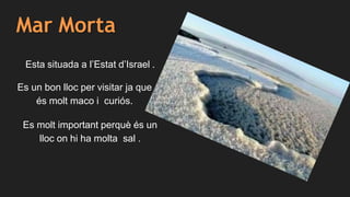 Mar Morta
Esta situada a l’Estat d’Israel .
Es un bon lloc per visitar ja que
és molt maco i curiós.
Es molt important perquè és un
lloc on hi ha molta sal .
 